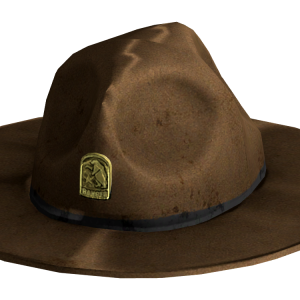 Hat PNG image