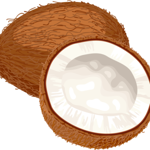 Coconuts PNG image