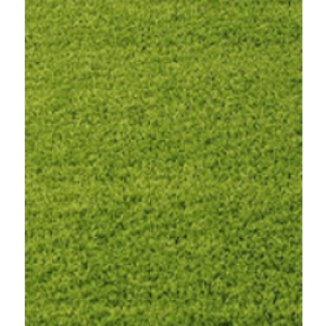 Carpet PNG