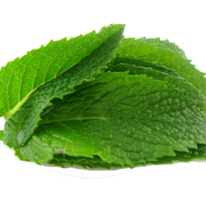 mint PNG