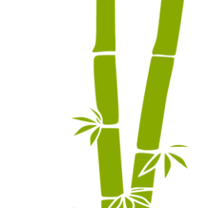 Bamboo PNG
