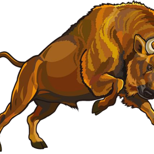 Bison PNG
