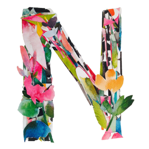 Letter N PNG