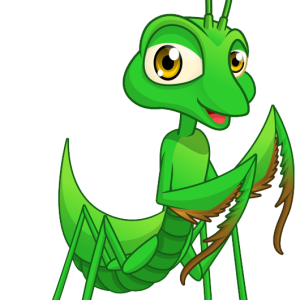 Mantis PNG