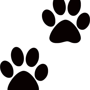 Paw PNG