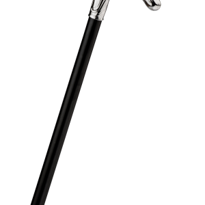 Walking stick PNG