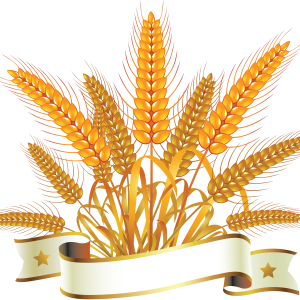 Wheat PNG