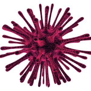 Coronavirus PNG