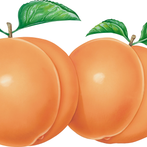 Peach PNG image