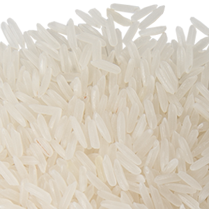 rice PNG