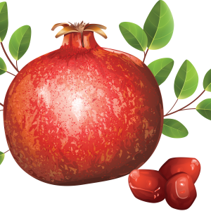 Pomegranate PNG