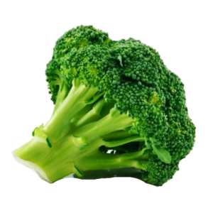 Broccoli PNG