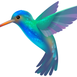 Hummingbird PNG