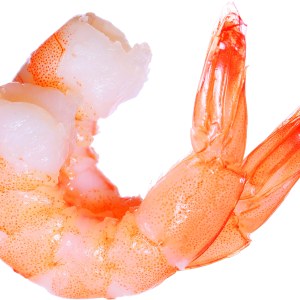 Shrimps PNG