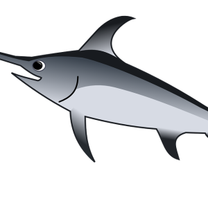 Swordfish PNG picture