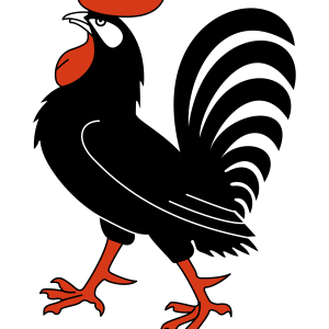 Cock PNG