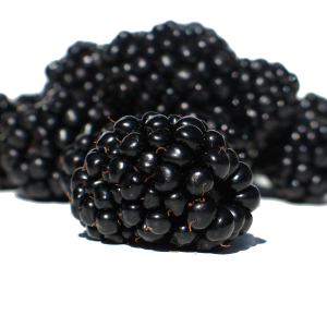 Blackberry PNG