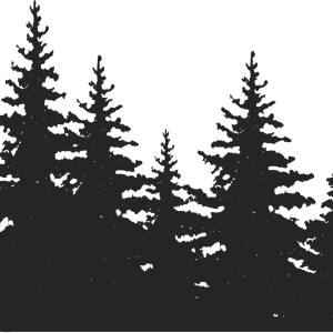 Forest PNG