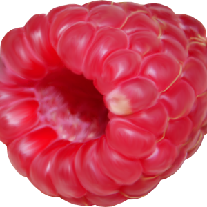 Rraspberry PNG image