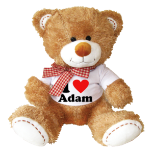 Teddy bear PNG