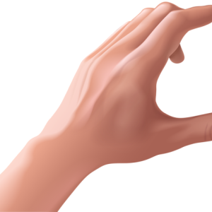 hand PNG