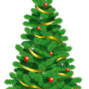 Christmas tree PNG