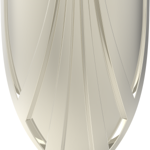 shield PNG