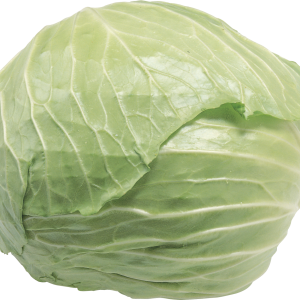 Cabbage PNG