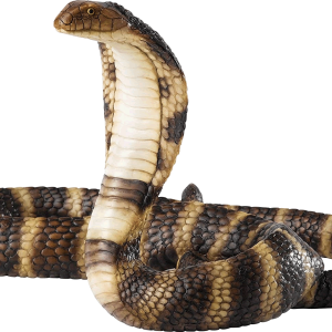 Cobra PNG