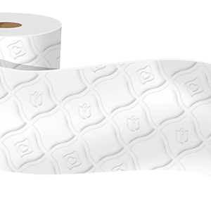 Toilet paper PNG