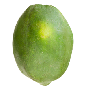 Papaya PNG