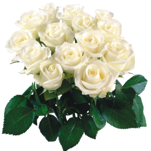 Bouquet flowers PNG