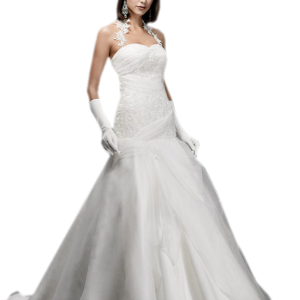 Bride dress PNG