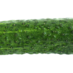 Cucumber PNG