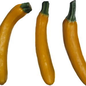 marrow PNG