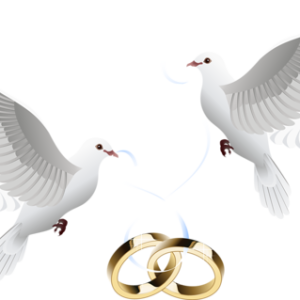 Wedding PNG