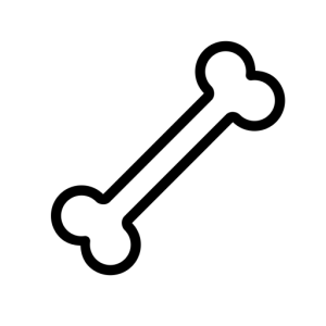 Bone PNG
