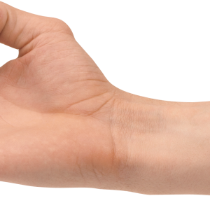 Hands PNG, hand image free