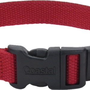 Dog collar PNG