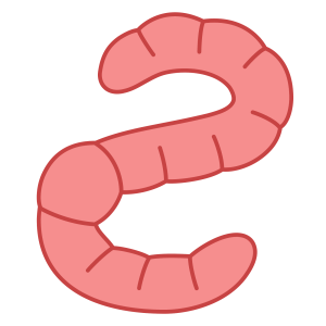 earthworm worm PNG