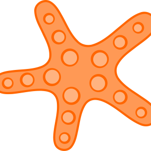 Starfish PNG
