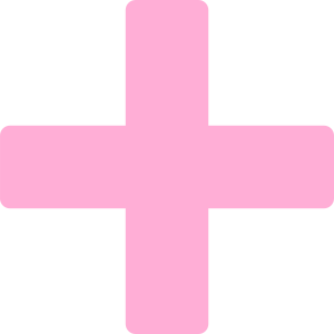 Plus PNG