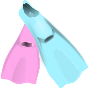 Flippers PNG