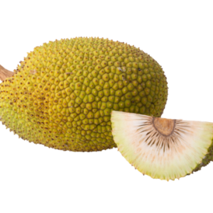 Jackfruit PNG