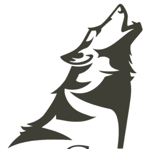 Jackal, coyote PNG