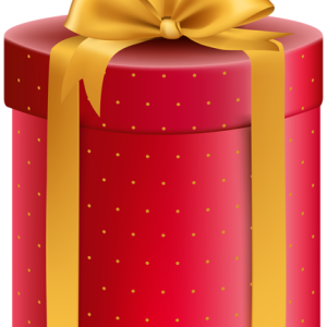 Red gift box PNG