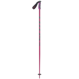 Trekking pole PNG