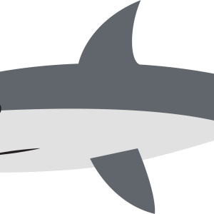 Shark PNG image