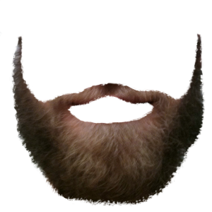 Beard PNG image