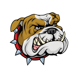 Bulldog PNG head picture